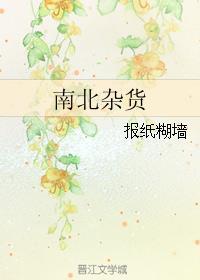 南北杂货全文