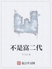 不是富二代作品大全