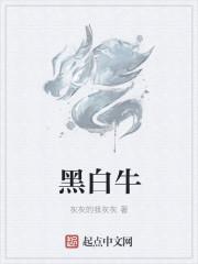 黑白牛价格