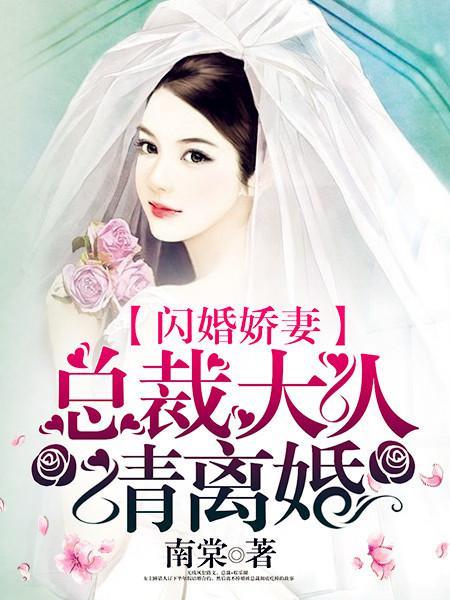 闪婚桥妻