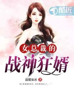 豪婿无双(上门龙婿)