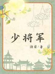 少将军衔