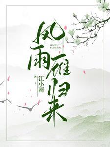 风雨燕归来4