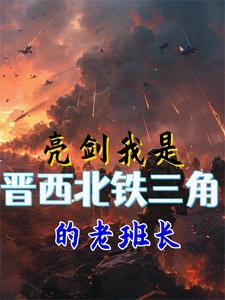 亮剑 整个晋西北都乱成一锅粥了