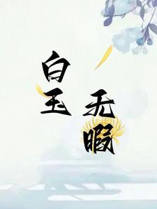 白玉无瑕打一字是什么?