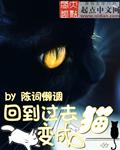 回到过去变成猫讲的是什么